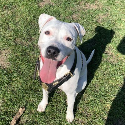 Iittlecunt's profile picture. 