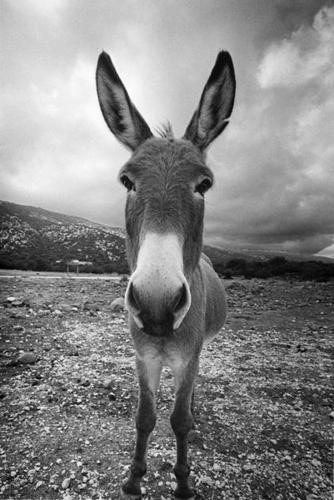 Indian. Atheist. Was apolitical. Views personal + opinionated.