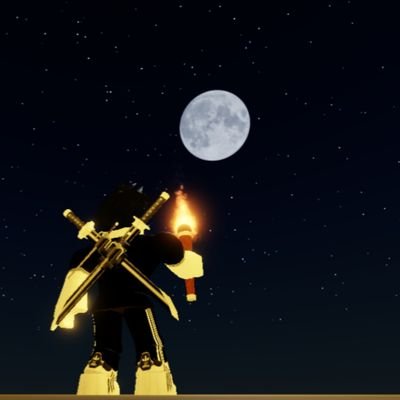 Perceuse45's profile picture. Just a random account of a roblox player (username : Perceuse45)