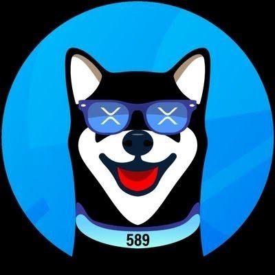 XRDOGEonXRPL's profile picture. 