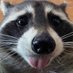riley (@rileyshouldice) Twitter profile photo riley (@rileyshouldice) Twitter profile photo
