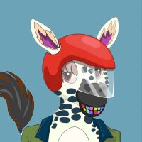 Poly Zebra Club | 🔥 MINT LIVE (@polyzebranft) 's Twitter Profile
