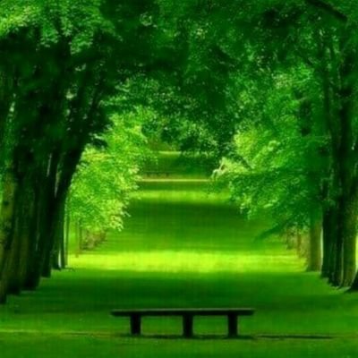 Velascok's profile picture. 