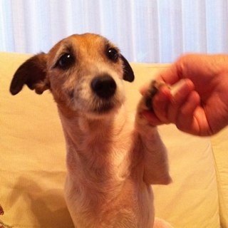 akarinz's profile picture. 