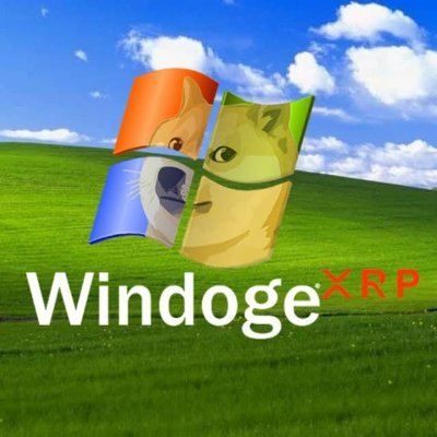 WindogeXrp's profile picture. 