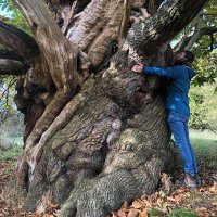 Max Brown 🌱 (@euphrasiologist) 's Twitter Profile Photo Max Brown 🌱 (@euphrasiologist) 's Twitter Profile Photo