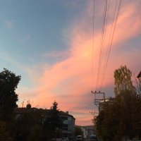 Sema Bayram (@semaabyrm) 's Twitter Profile Photo