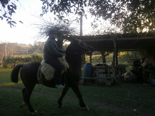 andreraffaell's profile picture. 