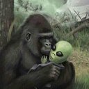 Marcell Anderson - @Marcell_Andersn - Twitter