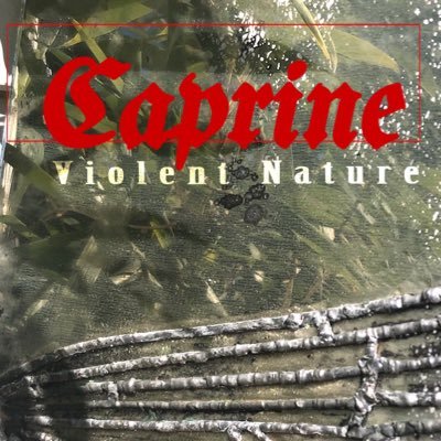 Caprine is an independent prog metal project focused on narrative • find the new album and support at https://t.co/5SmvXZyTWG • Anti-racist, Anti-capitalist