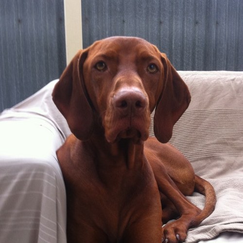 bwork1's profile picture. 