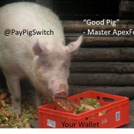 PayPigSwitch's profile picture. Fin$witch | Gay | 6'5, 500lbs | I'll eat right through your wallet | Owned