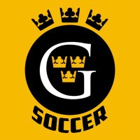 Gustavus Men’s Soccer(@gustiemsoccer) 's Twitter Profile Photo