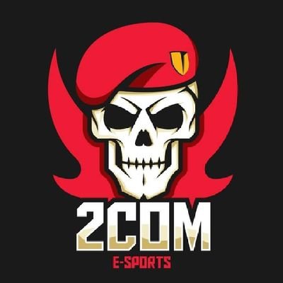 2COM eSports since 2018 / 🇧🇷