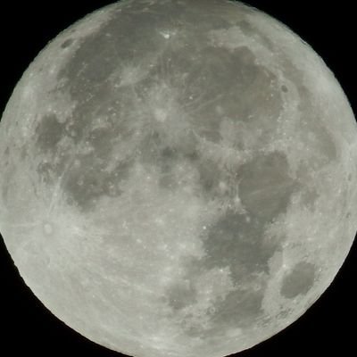 mac_intosh1967's profile picture. 最近タイムライン追えてません🙇
50代♂、でぶ。ラーメン、B級グルメと写真のアカウント。
夕飯は大抵どこかのお店に居ます😆
食べたいものを食べたい時に食べたいだけ食べます🤤
大食いではありません😅
無言フォローご容赦ください。
趣味はたま〜に食べ物以外の写真📷

🚭