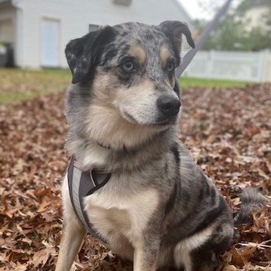 Edwood6904's profile picture. 