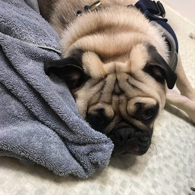 Kenzie_67's profile picture. 