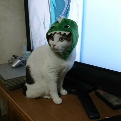 Grayaaaa's profile picture. ウマ娘・モンハン・遊戯王・
DBD(キラーメイン)