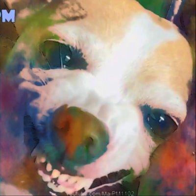 JPlayerGamesACS's profile picture. 🎥Streamer/ Youtuber
🎬Actor de @BabyDinosaurF
🕹Gameplays a 4k 1Fps Por Hora