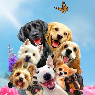 JASWANT02279884's profile picture. 