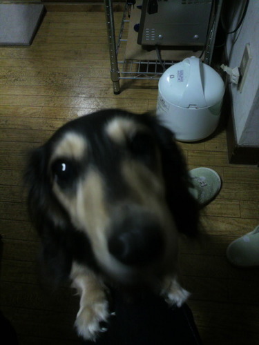 xx_hiromi_xxx's profile picture. Laputa 一生涯廃人。J廃でした。aki バン、B-T 黒夢。当時の名古屋系好きです。当時のライブネームは荊那(けいな)でした。直近のライブはしまじろうw