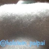 うしのちち（Nカップ） (@holstein_paipai) Twitter profile photo