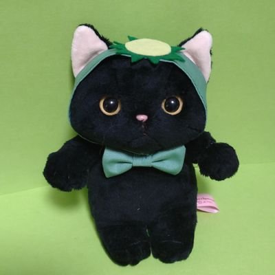 夫と4匹のにゃんこと暮らすおばちゃん😊
MELOGAPPAに沼った事で始めたTwitterですが、垢を分けるとかダラでズボラに管理出来るはずもなく今では雑多垢と化してます🙃
合唱歴34年
うらりひょん(•Ӫ•)🥒