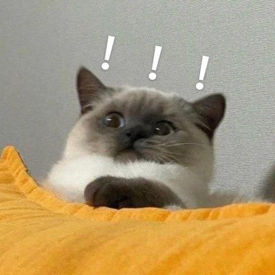 Kzc2F's profile picture. 玩！