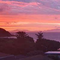 Rochelle Ellison-Lupena (@chellesnl) 's Twitter Profile