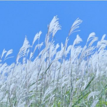 hana_usuhanada's profile picture. 日本人🇯🇵＊日本🇯🇵が大好き＊日本🇯🇵を大切にしたい＊日本🇯🇵の歴史、文化、自然、家族を守りたい＊世界に誇れる日本🇯🇵でありますように✨日本誠真会を応援しています📣猫🐈は家族❤️