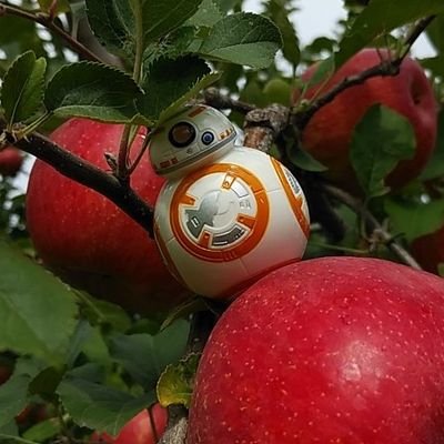 nachi_musashi's profile picture. 車とか、バスケとか、本とか、音楽とか、いろいろ好きです。
にゃんこ大好き。
かえるちゃん&キャサリンというアズマヒキガエル飼ってます。
ズブロッカ片手に群馬西部or軽井沢、佐久あたりにいます。#寿くんと楓くん　#なち音　#なち本