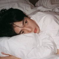 🌲 (@ataelophobe) 's Twitter Profile