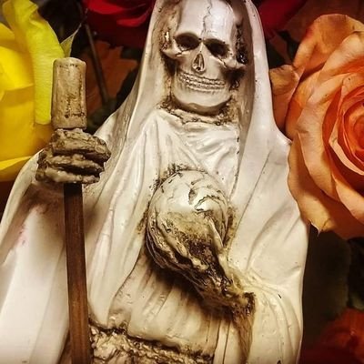 basilio_romario's profile picture. Leer