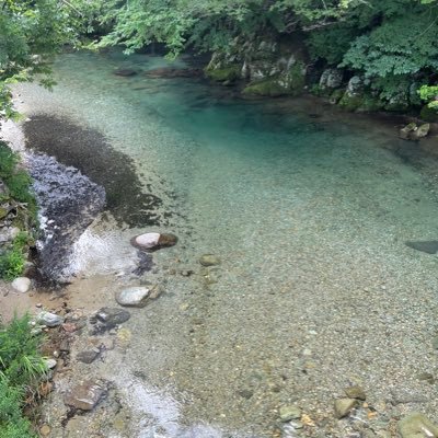 wbDgMIafnALUbZM's profile picture. よろしくお願いします