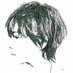 おーじろう (@ojiroroses) Twitter profile photo おーじろう (@ojiroroses) Twitter profile photo