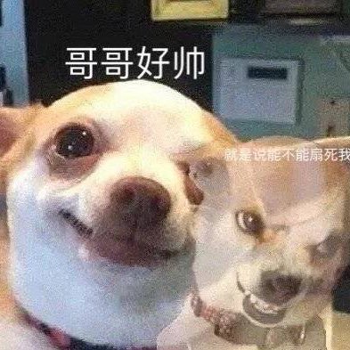 Wenggggy's profile picture. 泡只小狗