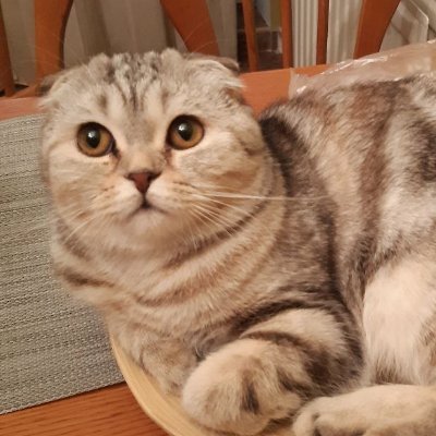 EthicalDecay's profile picture. Не подумал