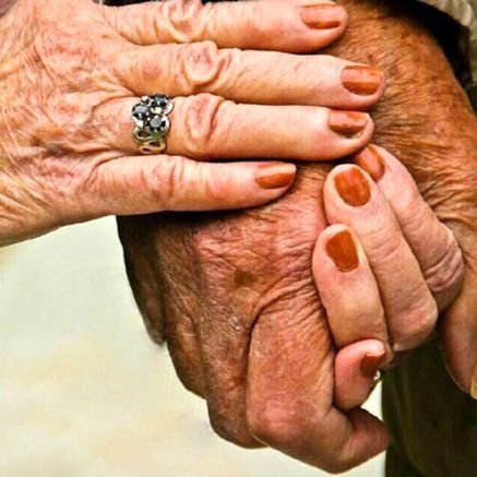 Soran81486724's profile picture. 