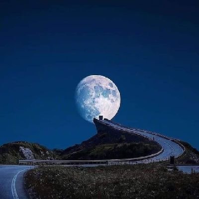 AbduMoh16840363's profile picture. 