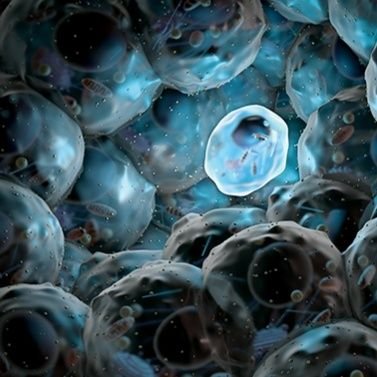 Cancer Stem Cell Biologist .Director of Research @inserm. Head of ESC2 Lab (@CRCMmarseille). Feeling the astonishment to seek the truth.