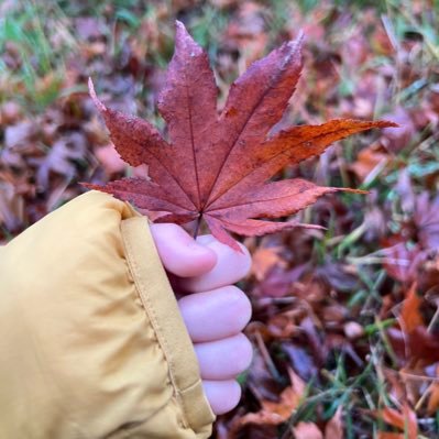 故郷・福島県南相馬市／寒がりのくせに仙台→岩手 ※徐々に北上／頑張りすぎず頑張ろう