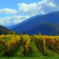 Targeted_Oregon (@targeted_oregon) 's Twitter Profile Photo Targeted_Oregon (@targeted_oregon) 's Twitter Profile Photo