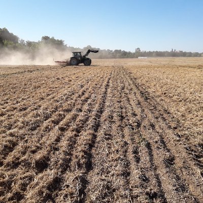 Working on Long-term experiments (LTEs), GHG emissions from Ag soils ⛅️, #soil_health & crop rotation 🚜🍀🌾| @jlu_crops at @jlugiessen