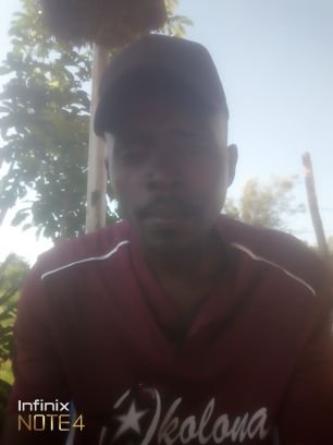 DanOgello's profile picture. 