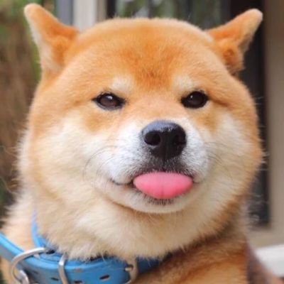 hu_barryhu20's profile picture. 见好就收