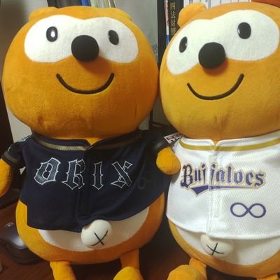 2017年シーズンよりオリックスを応援し始めた会社員/京セラに応援に行きます/東京出身/京都在住/