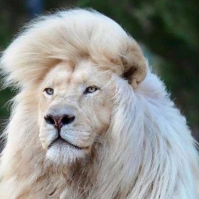 master_reinhard's profile picture. A man is a sum of all his actions