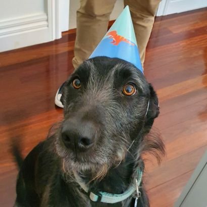 EngineeringPete's profile picture. Engineering, Baggers, family, coffee, food and fun.