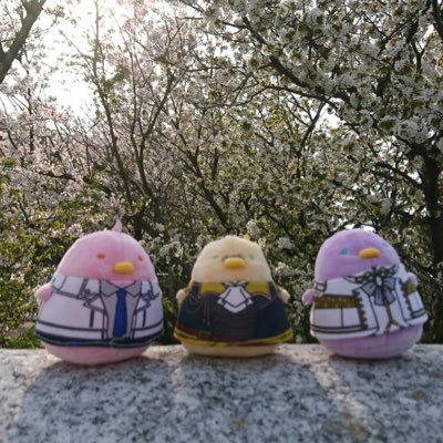 プリン。さんのプロフィール画像