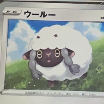 ポケカ中心カード、日常アカウントです。 自称ポケカまだむ。